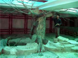 沈阳金冠洗浴工程