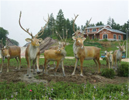 哈尔滨动物园软体动物