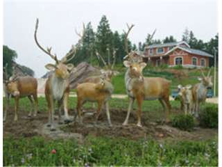 哈尔滨动物园软体动物